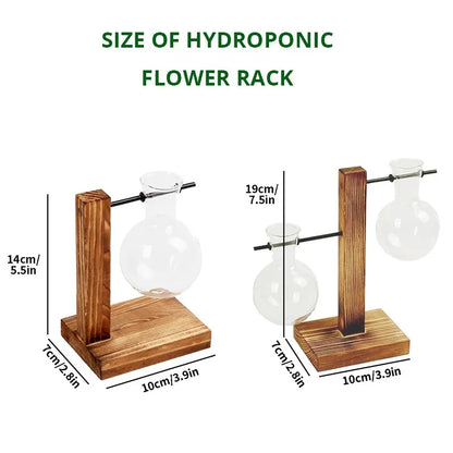 Transparent Bulb Vase with Stand for Hydroponics