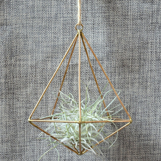 Garden Hanging Geometric Outdoor Wall