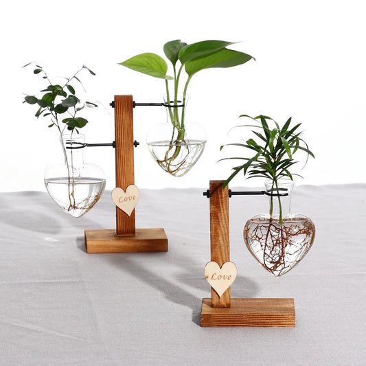 Hydroponic Flower Vases Plant