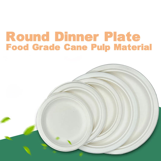 10 PCS Disposable Dish Food Plate